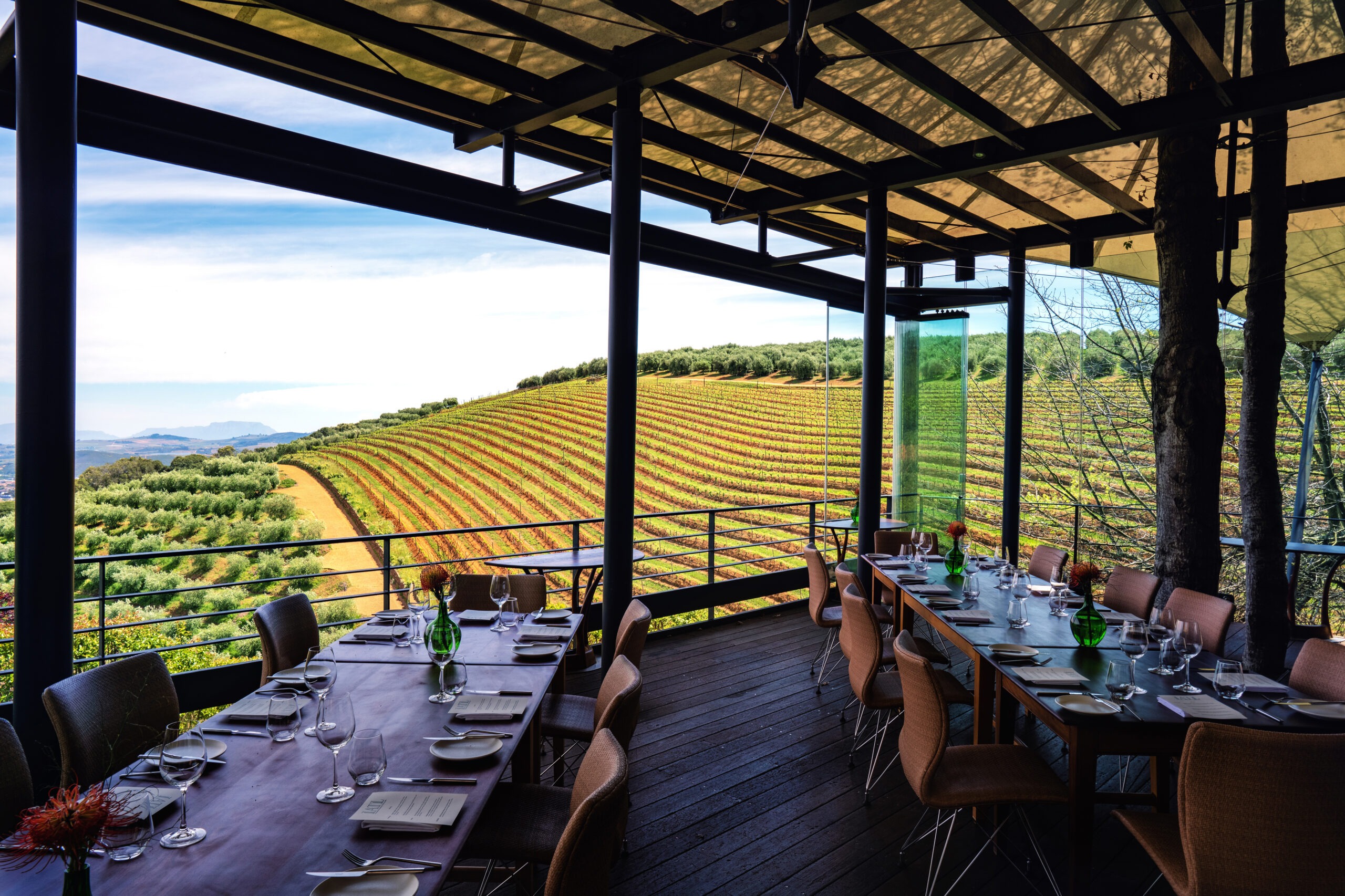 An elegant vineyard lunch setup overlooking the golden vine rows of the wine estates in the Stellenbosch Winelands outside Cape Town — documented as part of full-coverage global event photography for the International Academy of Trial Lawyers Annual Adventure.Stellenbosch wine estate photography, Delaire Graff Estate Stellenbosch, Tokara Wine Estate Stellenbosch, Spier Wine Farm Stellenbosch, International Academy of Trial Lawyers global adventure, destination event photographer South Africa, luxury corporate event photography, vintage wine-farm event coverage, Cape Town Winelands event photographer, David Scarola Photography, luxury lifestyle event imagery, global professional retreat photography, South Africa corporate event coverage.