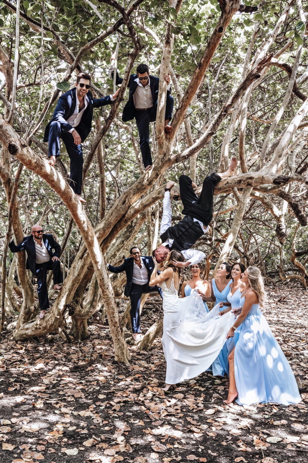 Bridal party celebrating among sea grape trees at Coral Cove Park on Jupiter Island — groomsmen climbing branches, bridesmaids laughing, and the groom hanging upside down for a kiss — captured by David Scarola, Florida’s best wedding photographer and master of creative fine-art portraiture in Palm Beach and Jupiter.