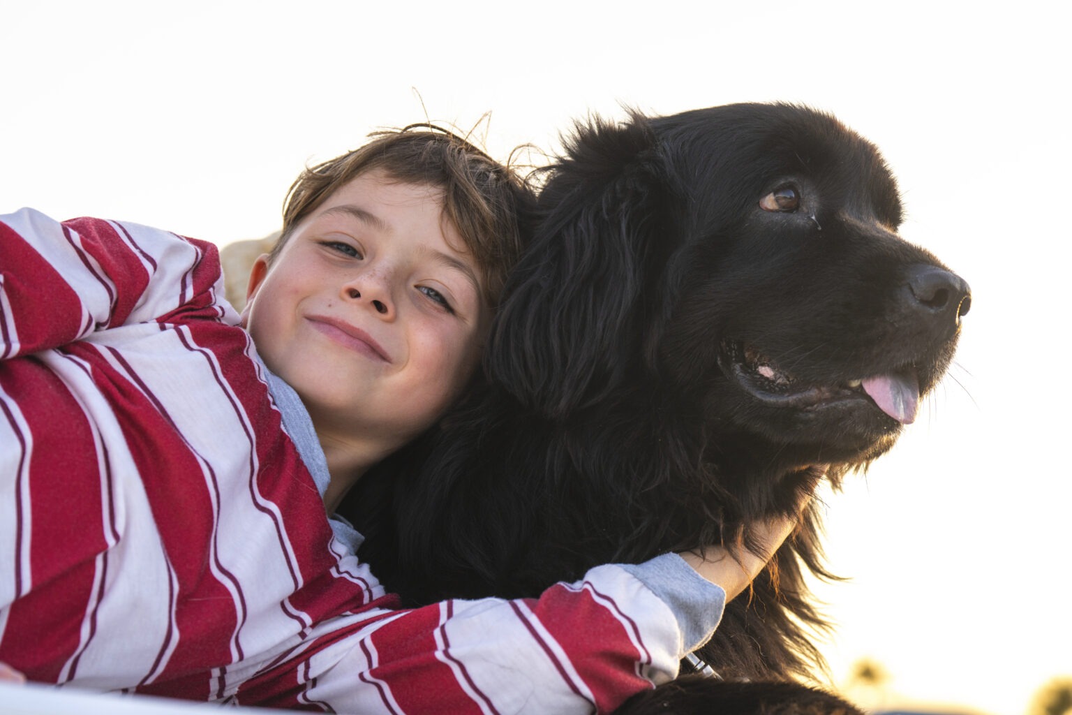 A cute 8 year old boy hugging his gorgeous cuddly large dog in the golden hour during a family photo shoot at his Jupiter Island home with Jupiter Island's most sought after family photographer, David Scarola.