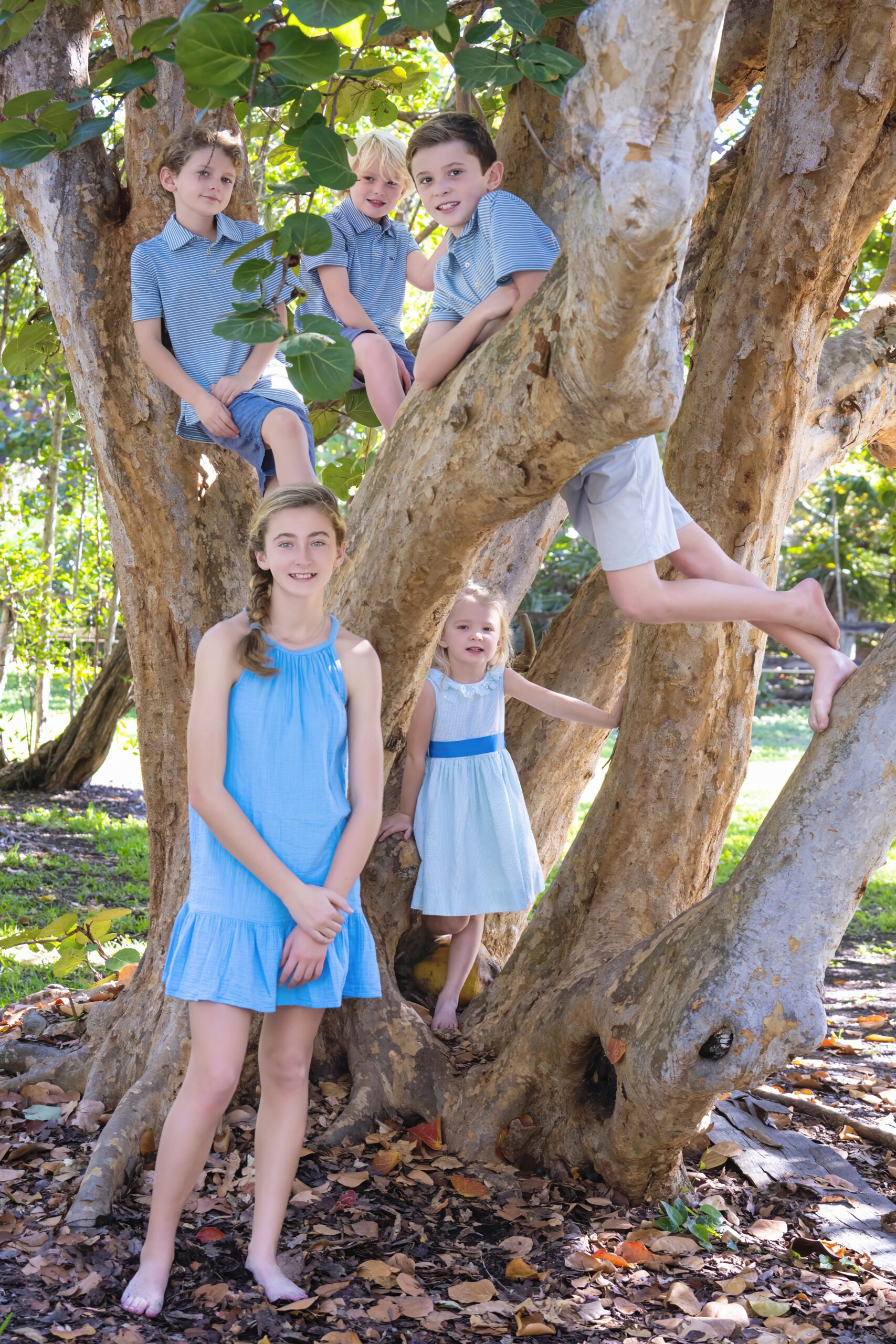 In this delightful and happy family photograph, 5 siblings are playing and posing in a tree in Key Biscayne. David Scarola has vision when it comes to posing and capturing the essence of children during family portraits an family photography sessions.